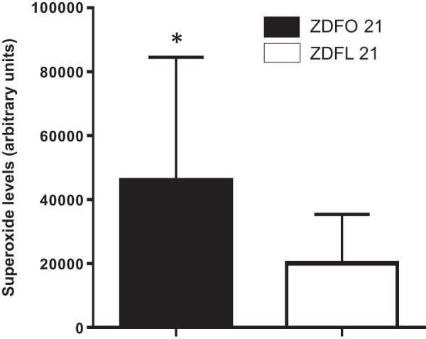 Fig. 6.