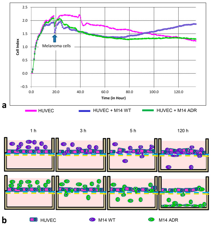 Figure 14