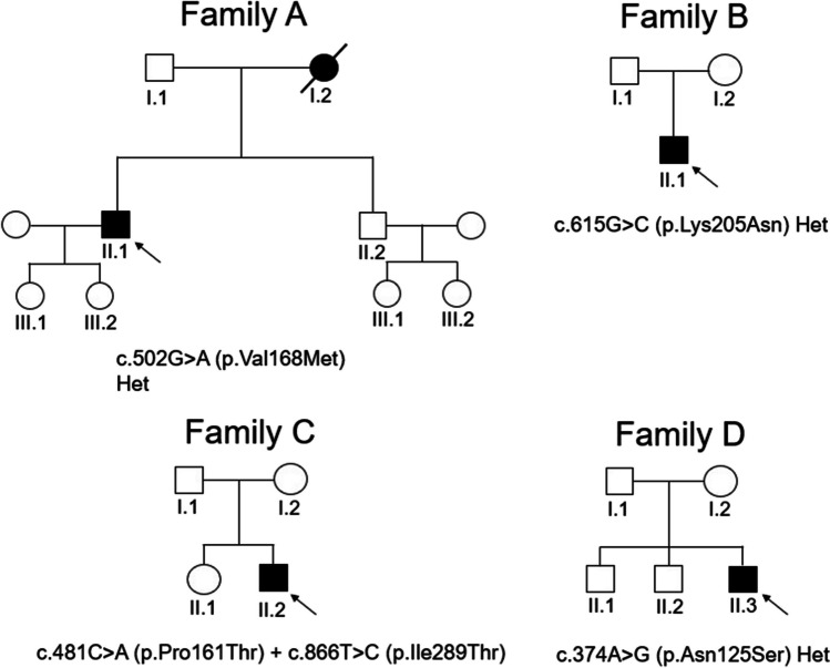 Fig. 1