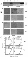 FIG.5.