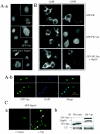 FIG.4.