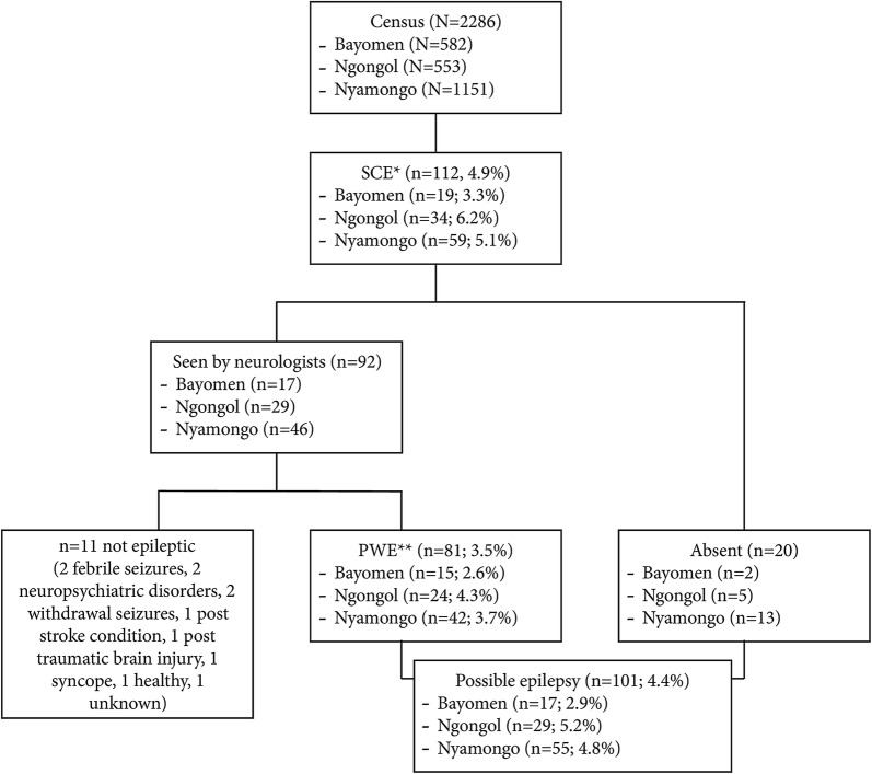 Fig. 2