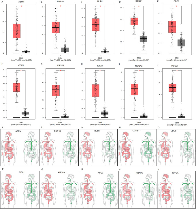 Figure 4.