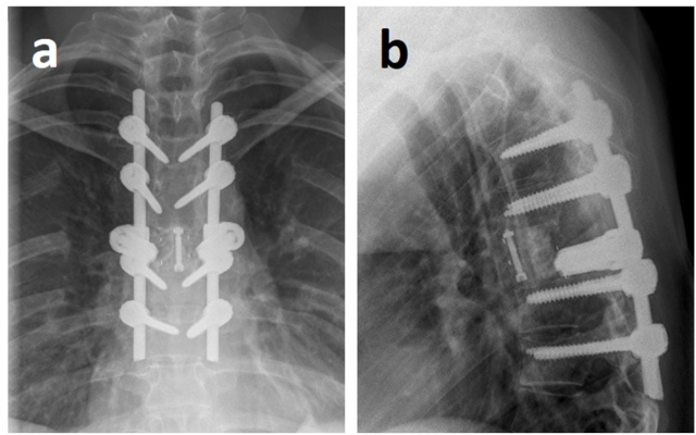 Fig. 7