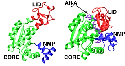 Fig. 1.