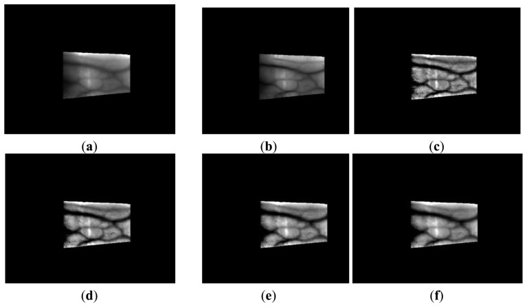 Figure 9.