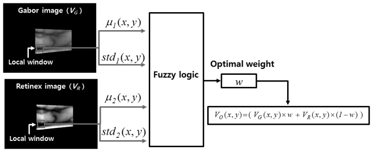 Figure 11.