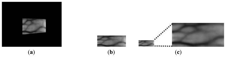 Figure 15.