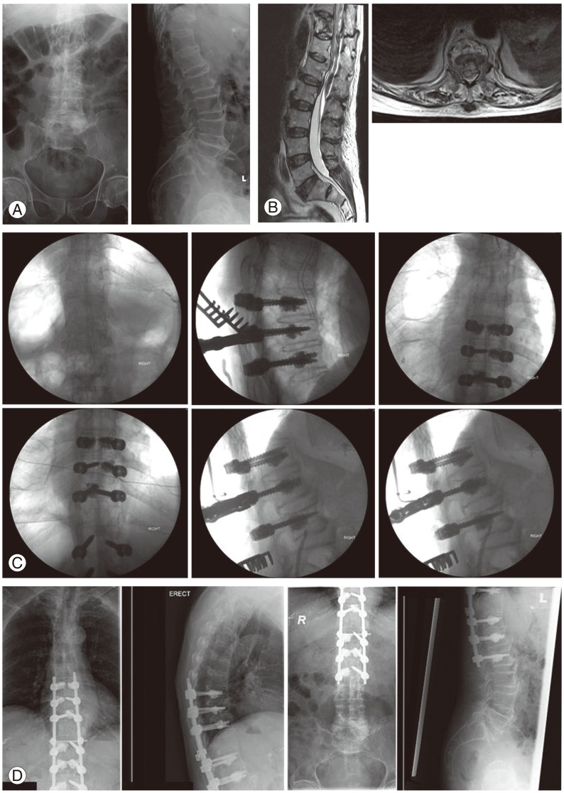 Fig. 2