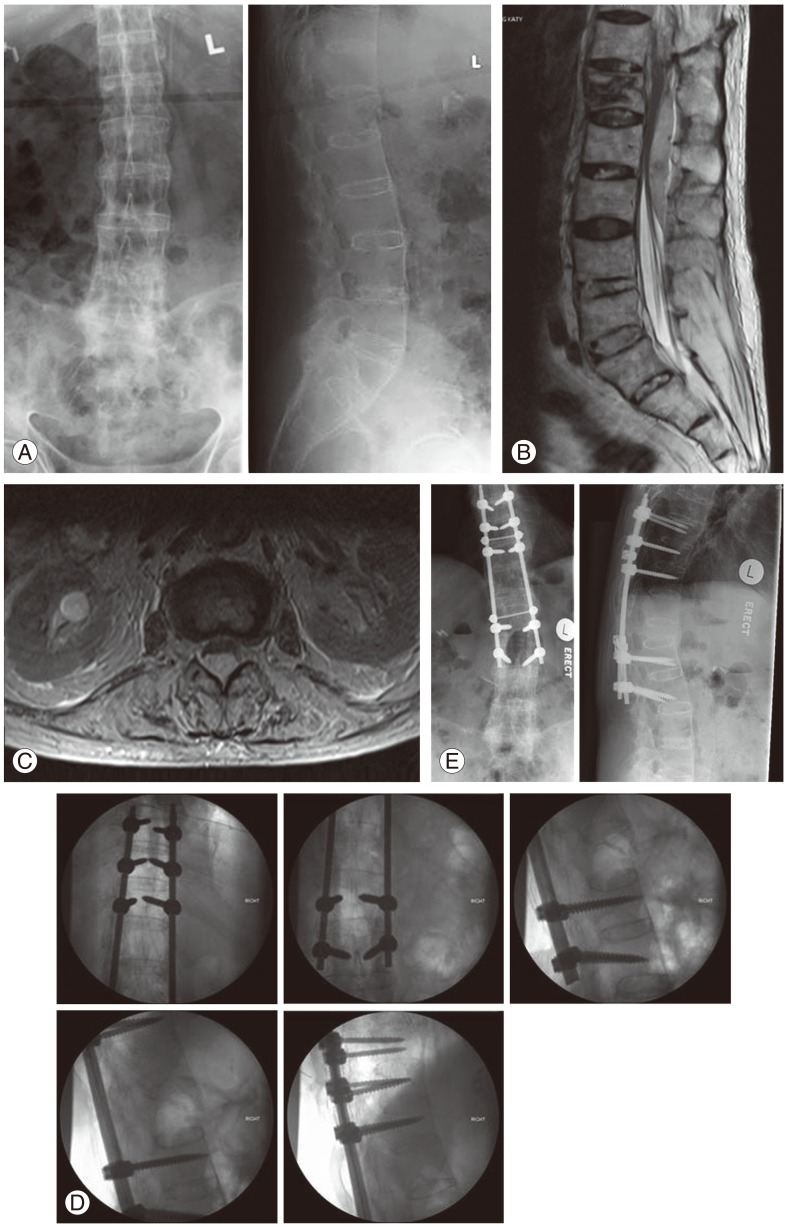 Fig. 3