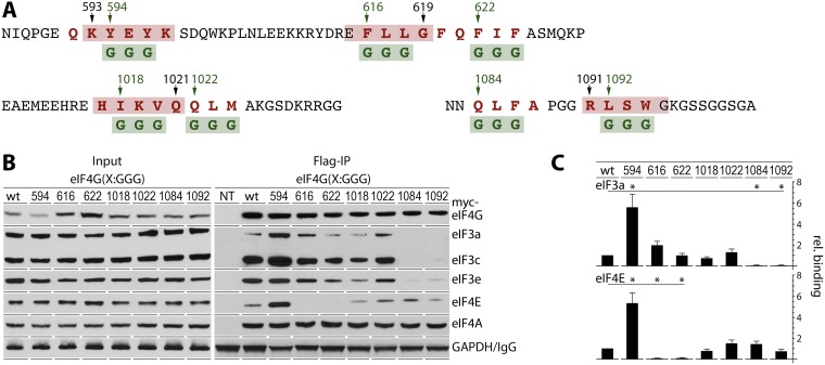 FIG 3