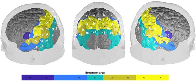 FIGURE 1