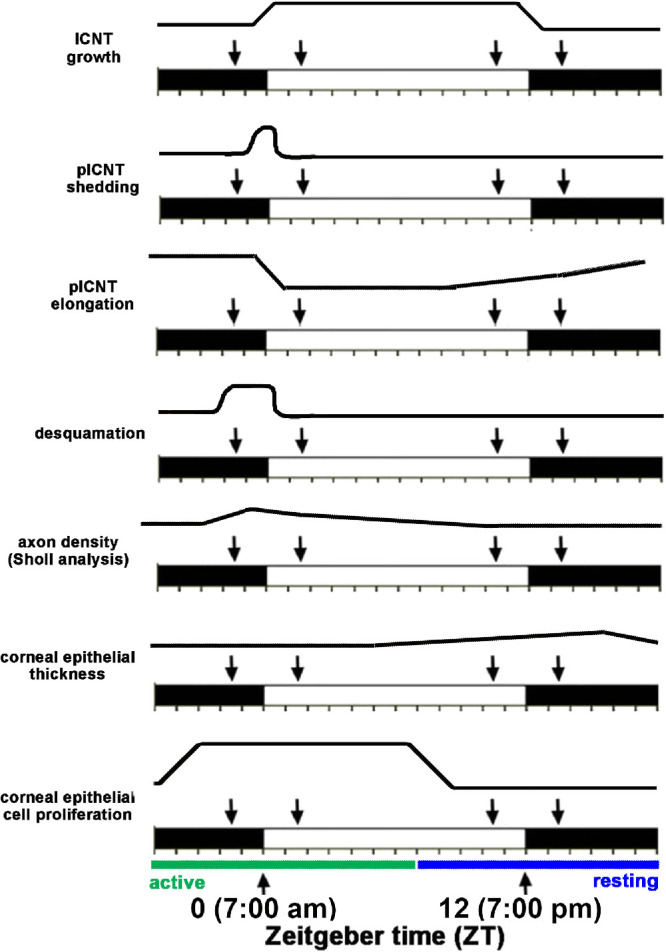 Figure 9.