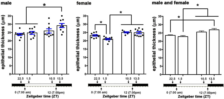 Figure 6.