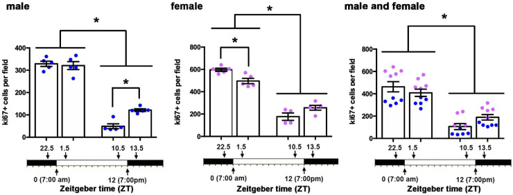 Figure 5.