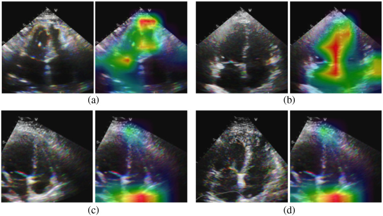 Fig. 8