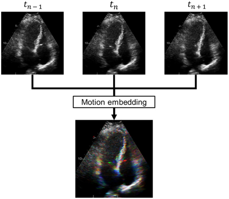 Fig. 5