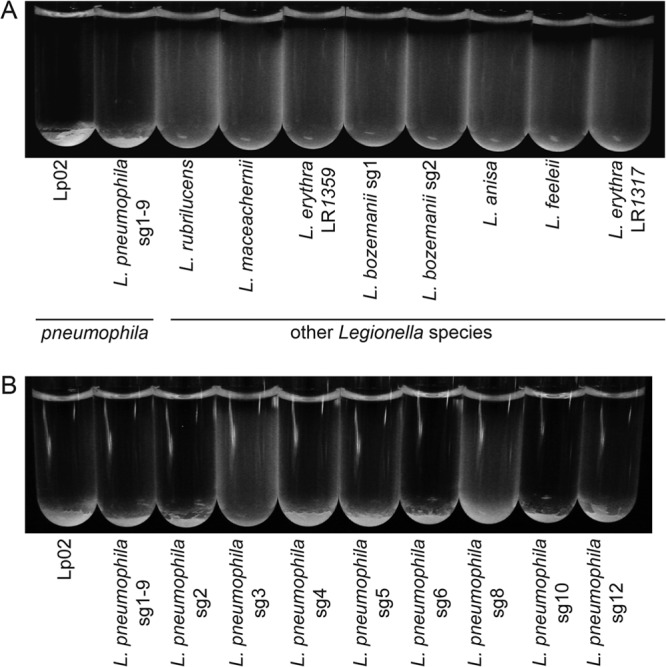 FIG 1