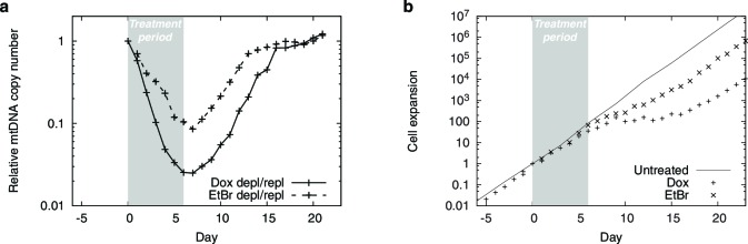 Figure 1—figure supplement 1.