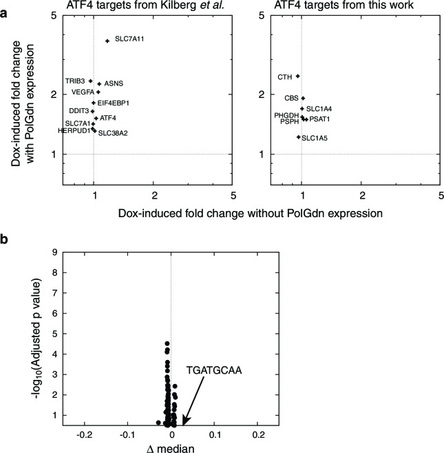 Figure 2—figure supplement 1.