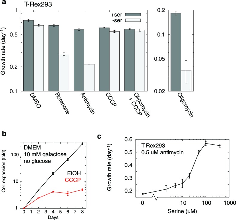 Figure 5—figure supplement 1.