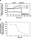 Figure 1—figure supplement 2.