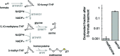 Figure 4—figure supplement 4.