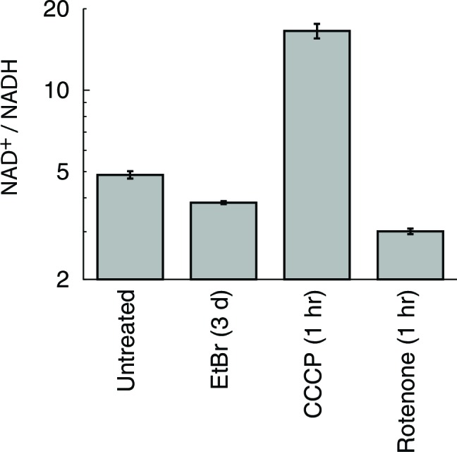 Figure 4—figure supplement 2.