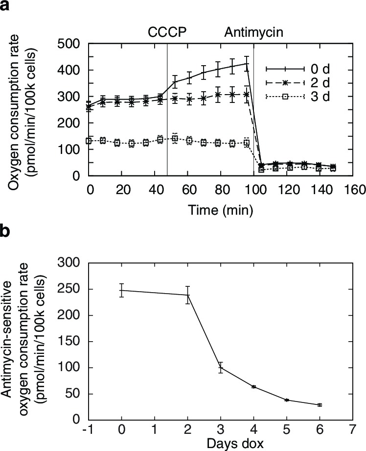 Figure 1—figure supplement 2.