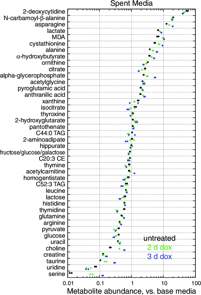 Figure 1—figure supplement 4.