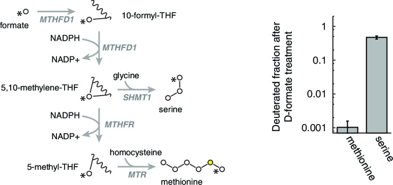 Figure 4—figure supplement 4.