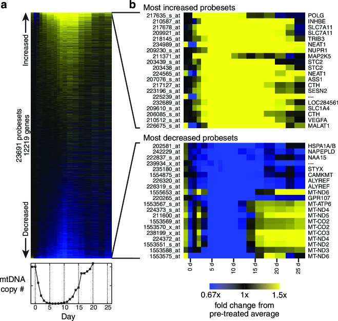 Figure 1—figure supplement 5.