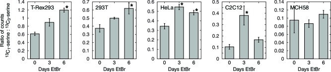 Figure 4—figure supplement 3.