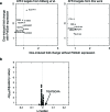 Figure 2—figure supplement 1.