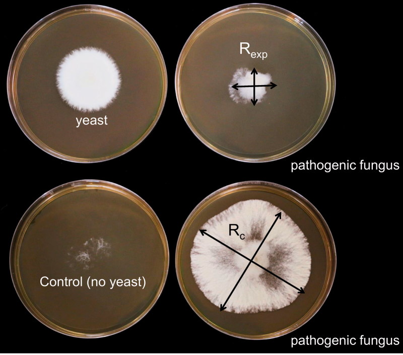 Figure 2.