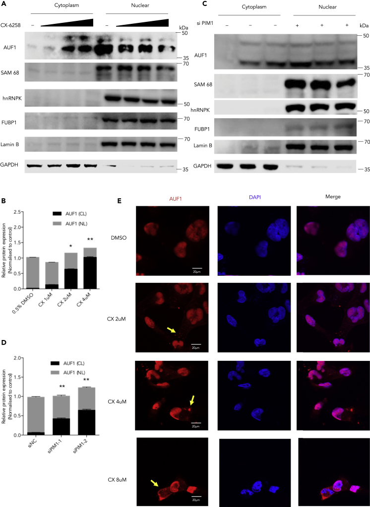 Figure 6