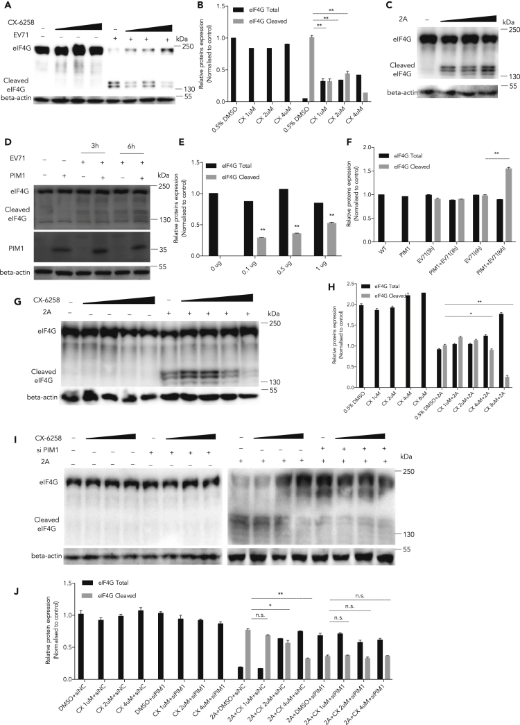 Figure 5