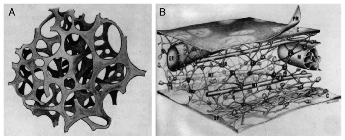 Figure 1. 