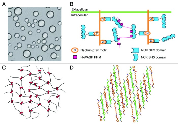 Figure 3. 