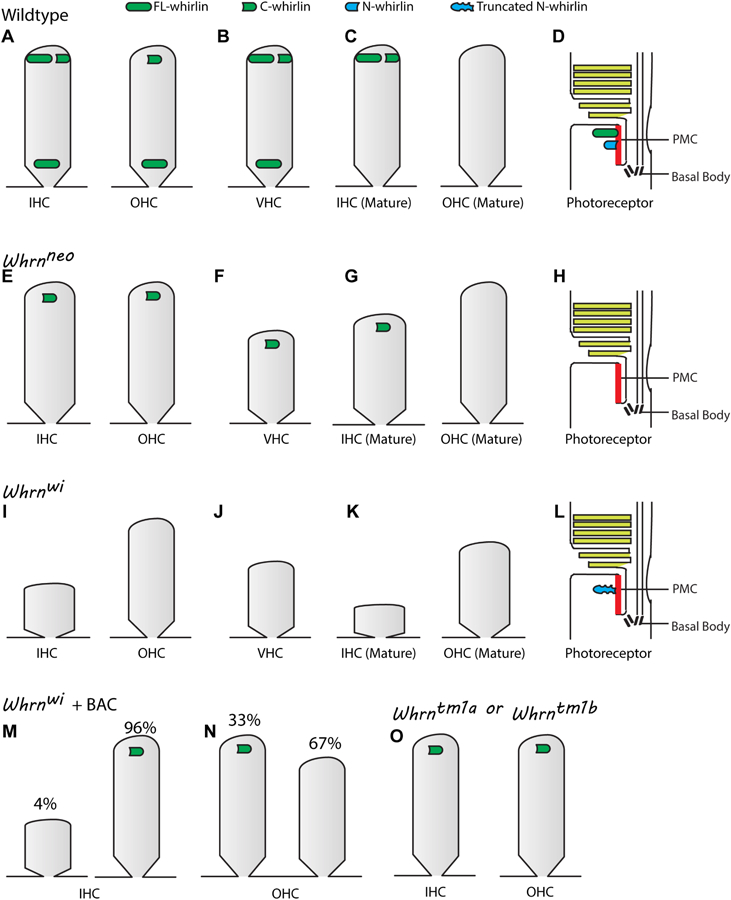 Figure 4: