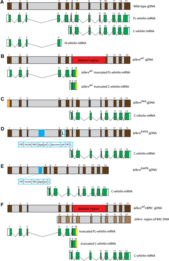 Figure 3: