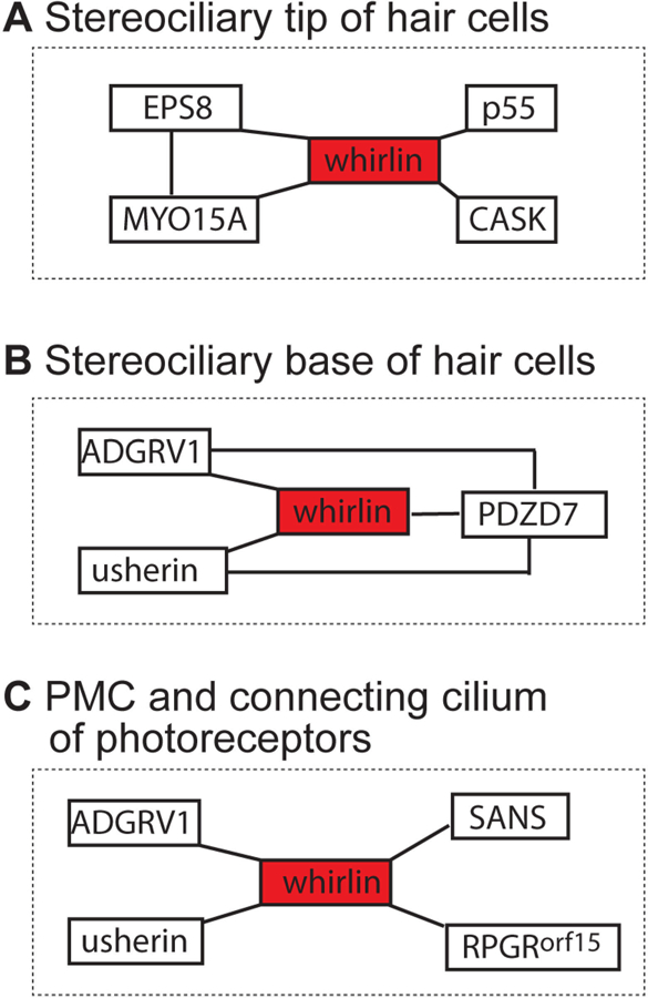 Figure 5: