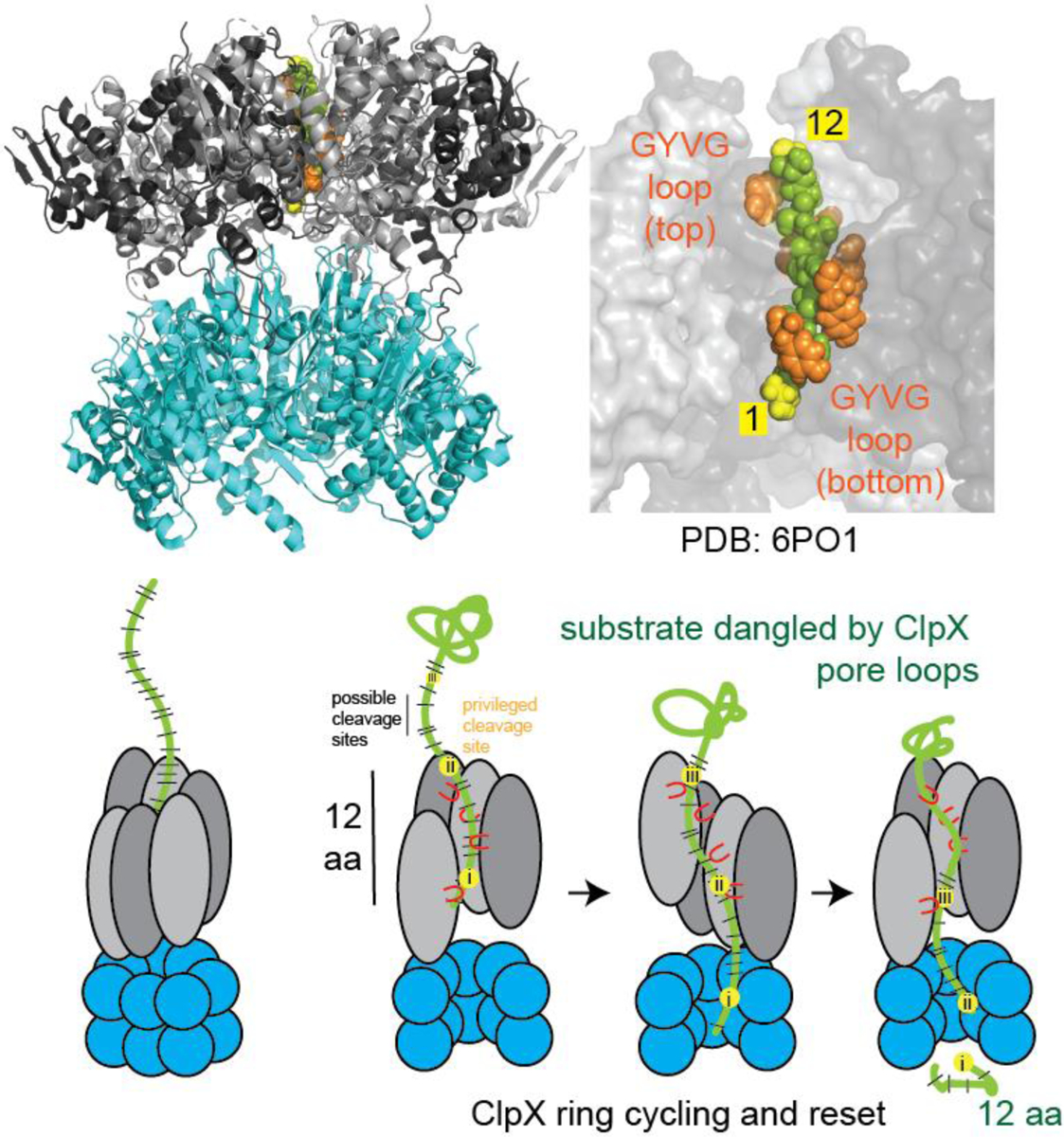 Figure 4: