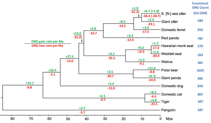 Fig. 3.