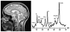 Fig. 19.1