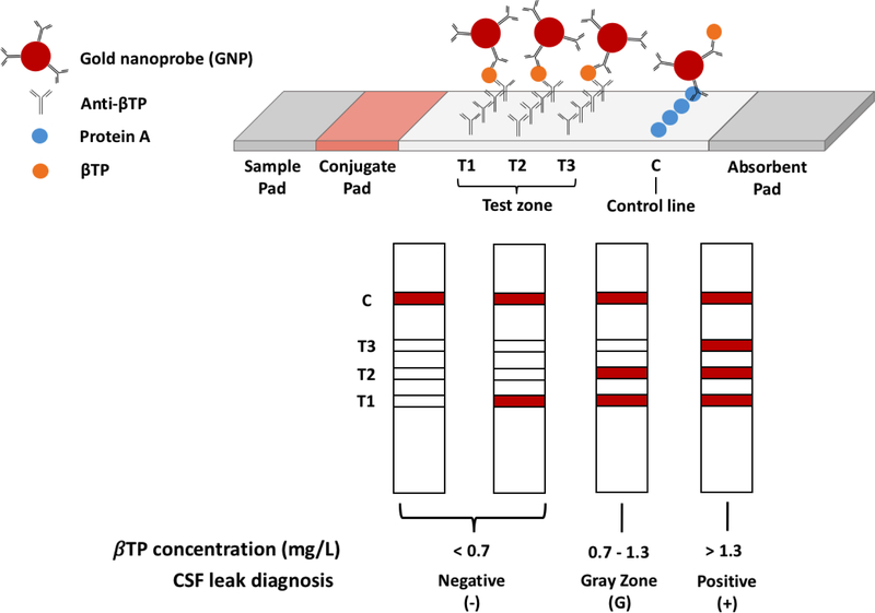 Figure 1: