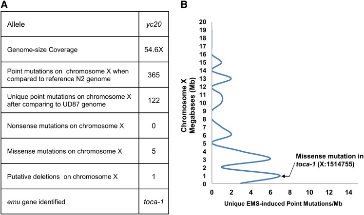 Figure 4 