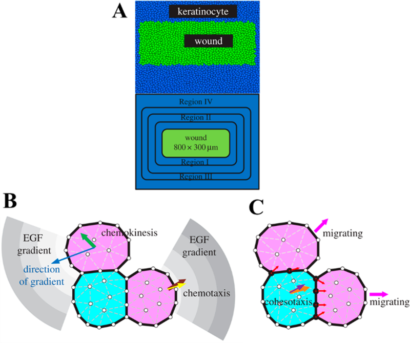 Figure 19