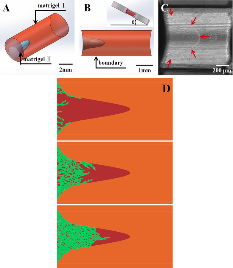 Figure 17