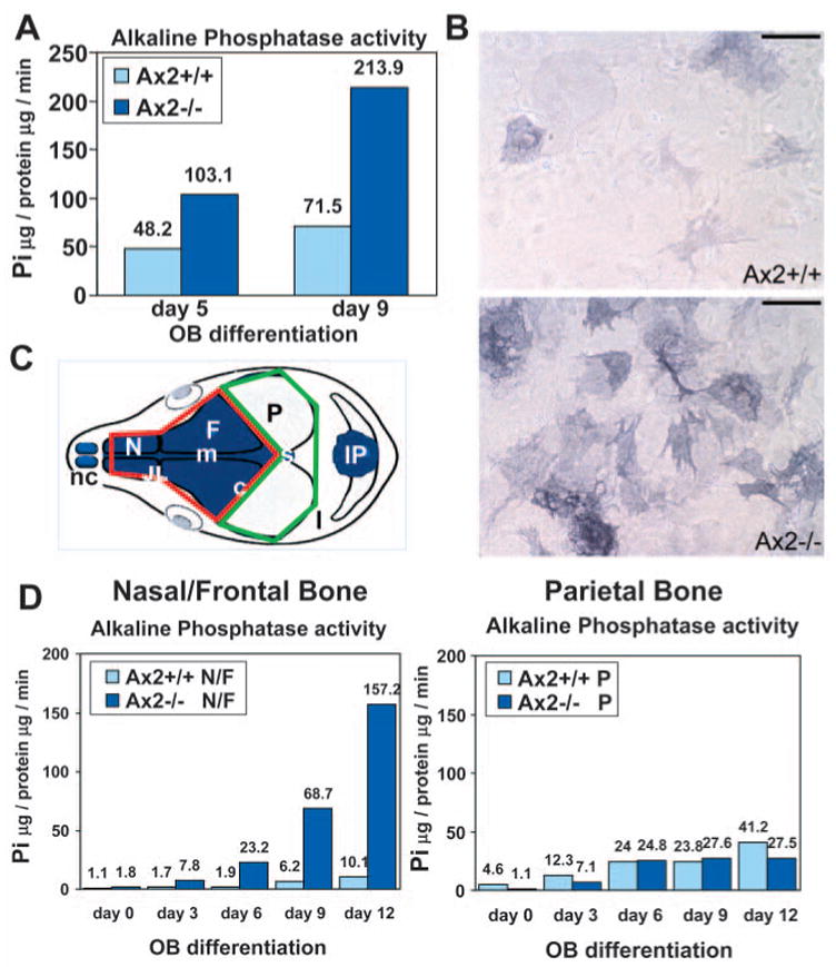 Fig. 4